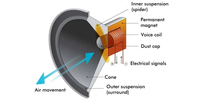 How Speakers Use Magnets: A Complete Guide